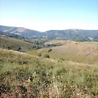 DSCN6937