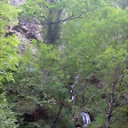 DSCN3777