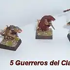 5guerreros