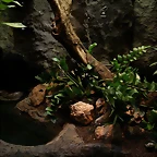 Zoo de Barcelona 27-03-11 670