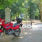 29-IMG_2205