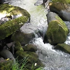 DSCN2797