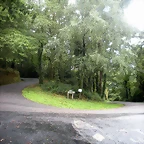 DSCN8369