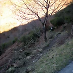 DSCN3016