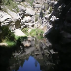 IMGP8705