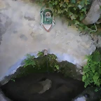 IMGP8708