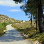55-IMG_5764