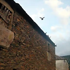 DSCN5363