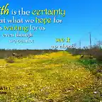 faith_is_the_certainty