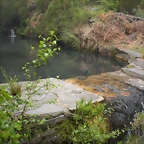 DSCN5710