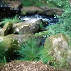 P1010201
