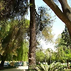 Badajoz (175)