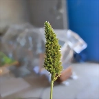 IMG_20230824_163751