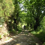 DSCN5770