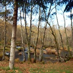 DSCN9379