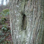 DSCN2094