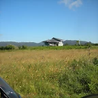 DSCN6875