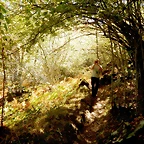 DSCN8011