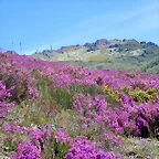43-IMG_6413