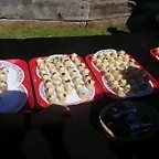 14642515_1786684228240647_6121196567119622824_n