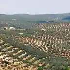 13, los charcones desde huerta franca, marca