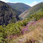 DSCN1503