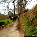 DSCN2103