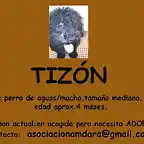 TIZON Sevilla