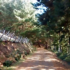 DSCN9178