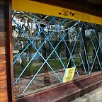 Zoo de Barcelona 23-02-11 004