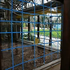 Zoo de Barcelona 23-02-11 003