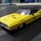 DSCN6342