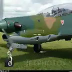 Tucano11