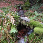 DSCN0692