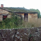 DSCN5319