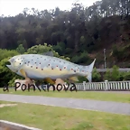 DSCN3429