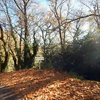DSCN9001