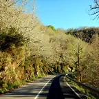 DSCN0199