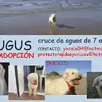 SUGUS Sevilla copia