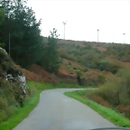 DSCN6247