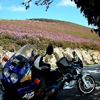 DSCN9043