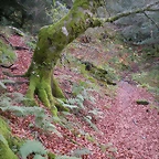 DSCN0699