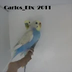 los papis 21-6-2011