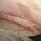 DSC03430