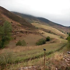 DSCN6615