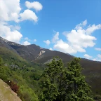 DSCN1114