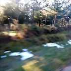 DSCN2591