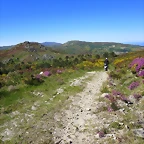 14-IMG_6506