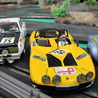 Parc tancat 05