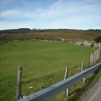 DSCN9240
